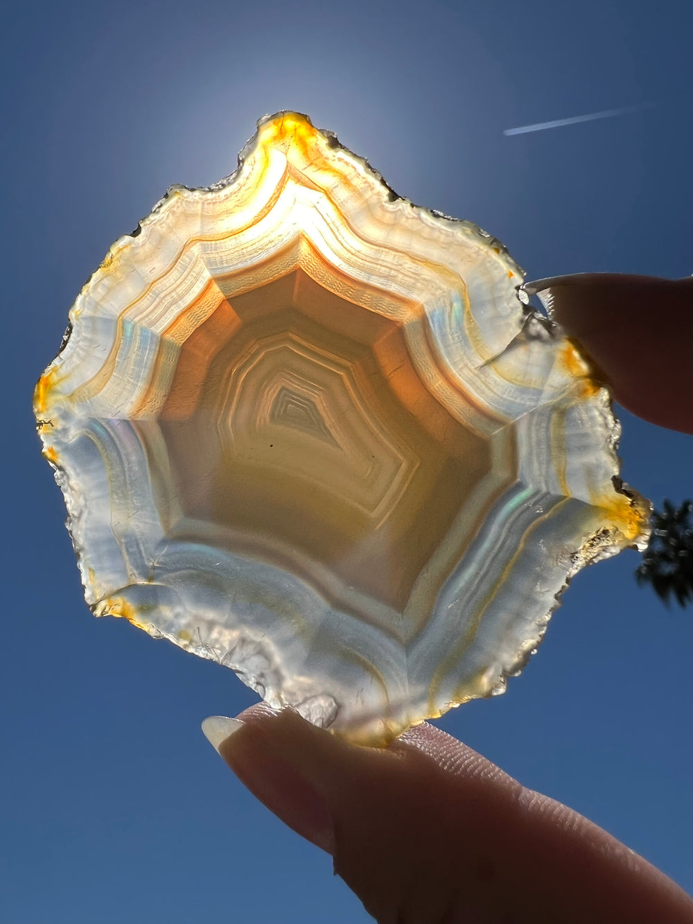 Iris Agate Slice