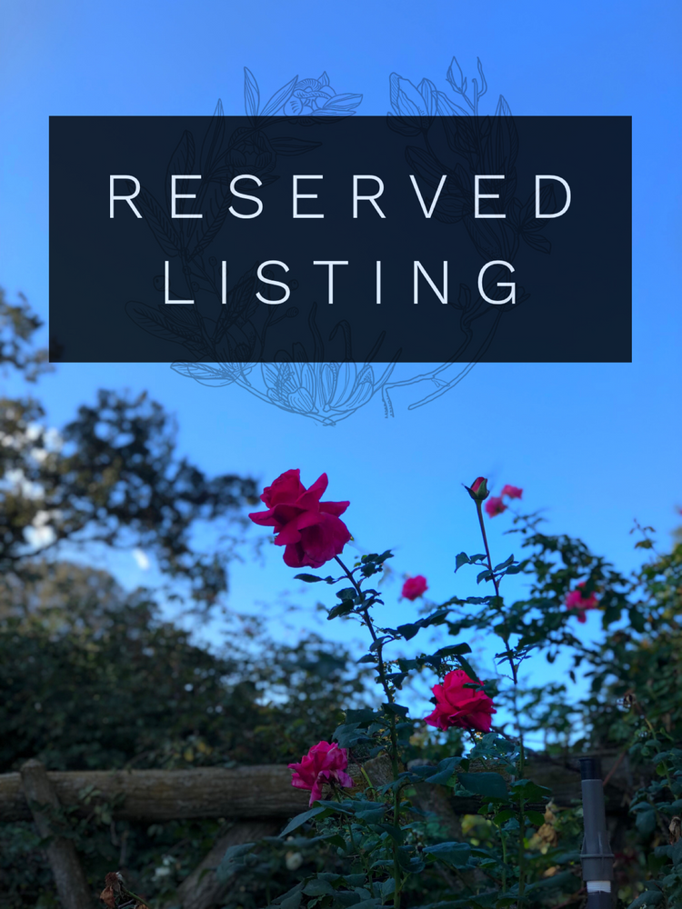 RESERVED LISTING - katiecurates17