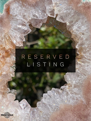 RESERVED LISTING - melty82