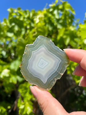Iris Agate Slice