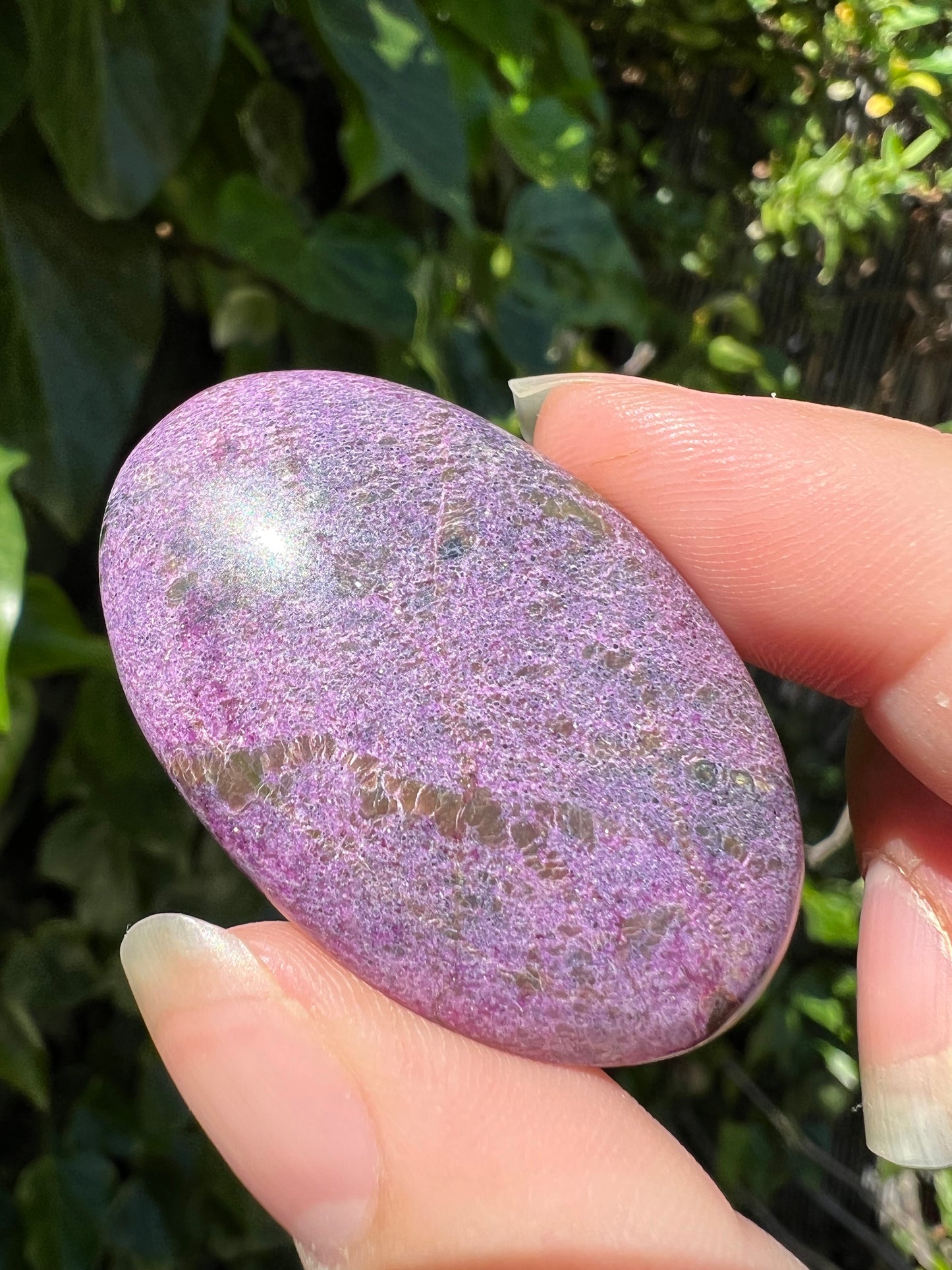 
                  
                    Small Stichtite Palm Stone
                  
                