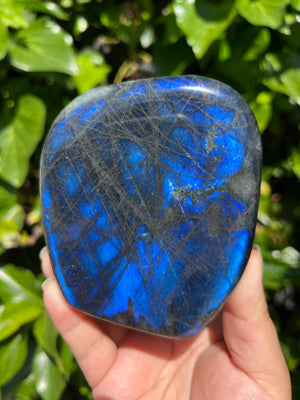 Electric Blue Labradorite Freeform
