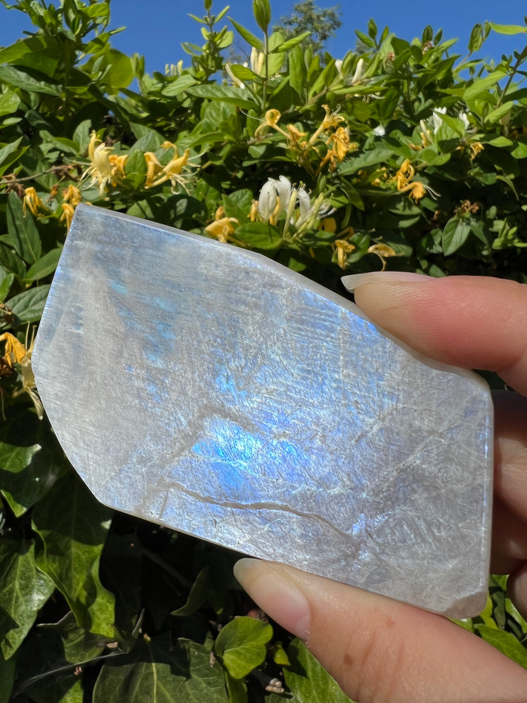 
                  
                    Moonstone Freeform
                  
                