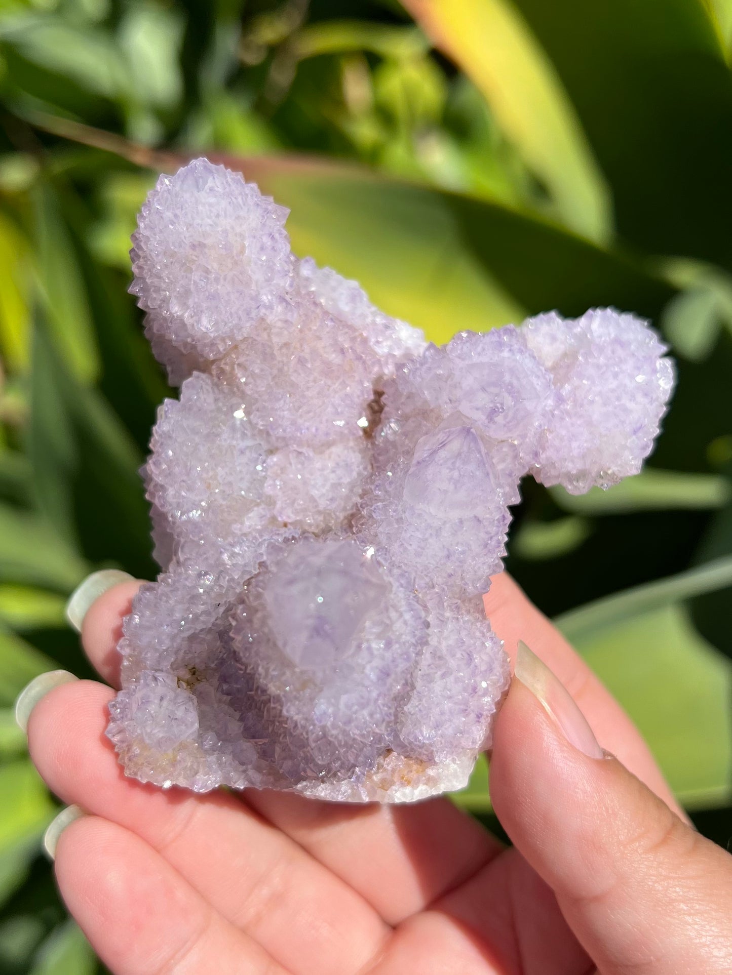 
                  
                    Lilac Spirit Quartz Cluster
                  
                