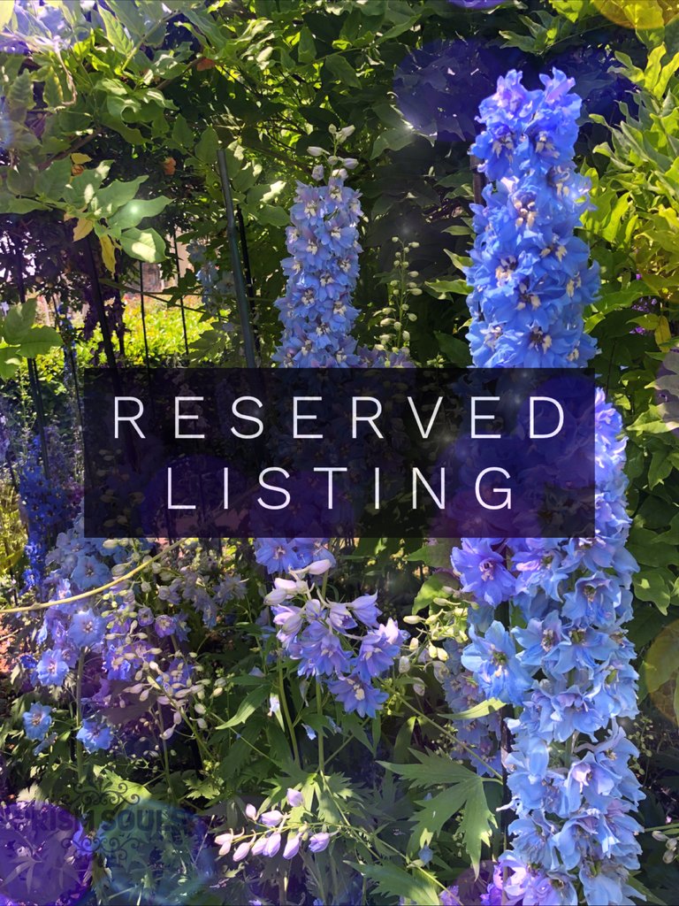 RESERVED LISTING - moonval
