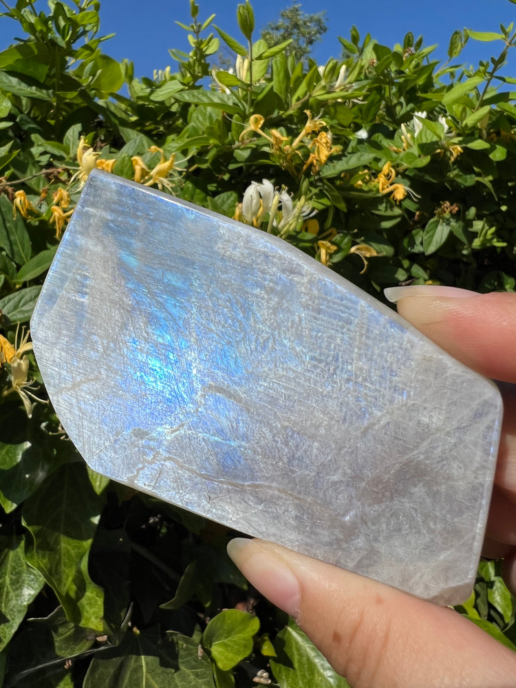 
                  
                    Moonstone Freeform
                  
                
