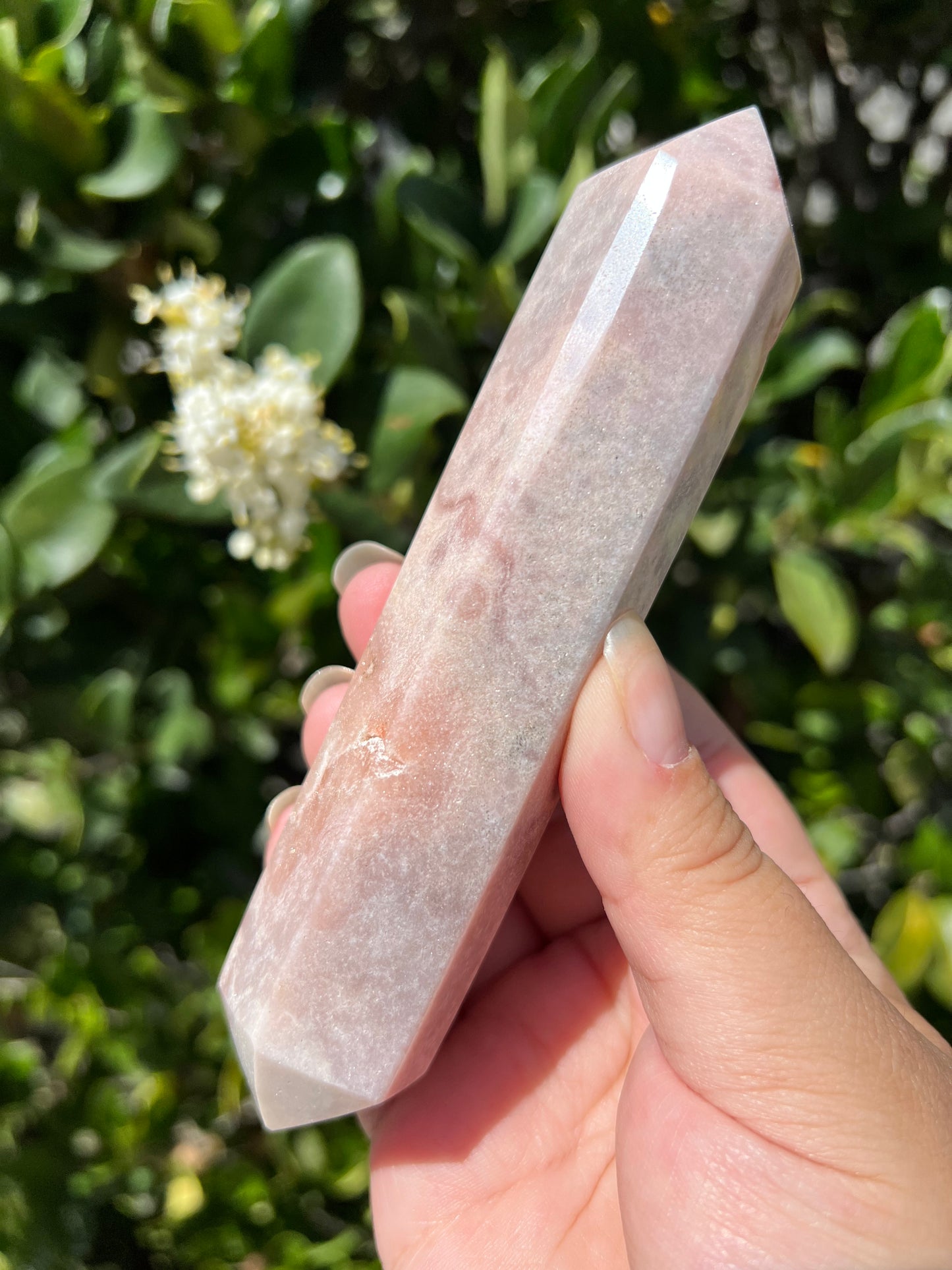 
                  
                    DT Pink Amethyst
                  
                